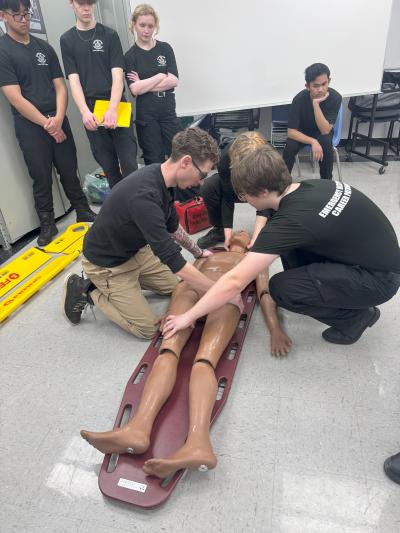 Paramedic Trauma Survey - Level 1